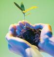 ECOLOGIA MUNDIAL