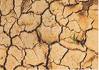 La Peor Sequía del Siglo